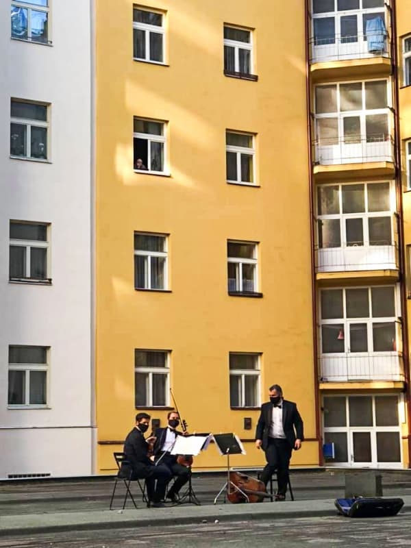 Amadeus String Trio II